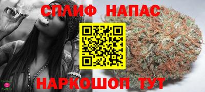PSILOCYBIN Гусиноозёрск
