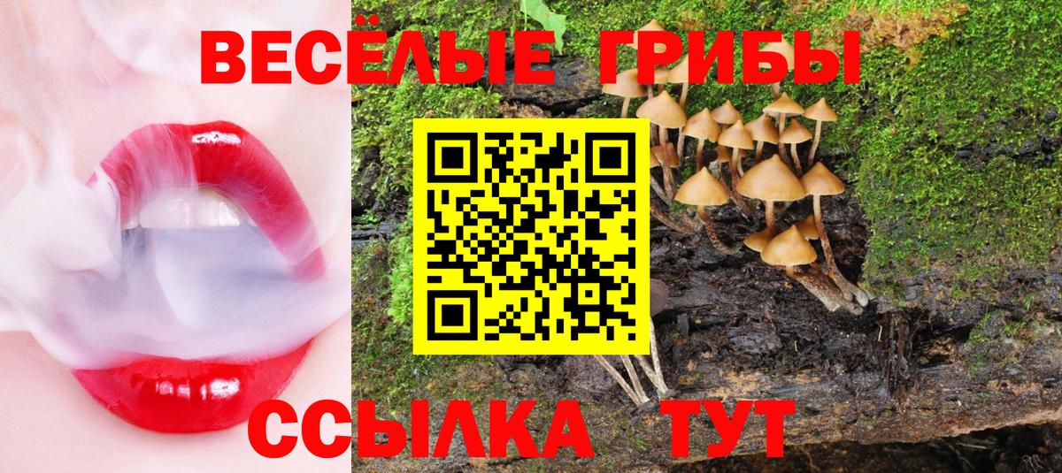 Новотроицк  закладка  Вход с VPN  Галлюциногенные грибы MAGIC MUSHROOMS 